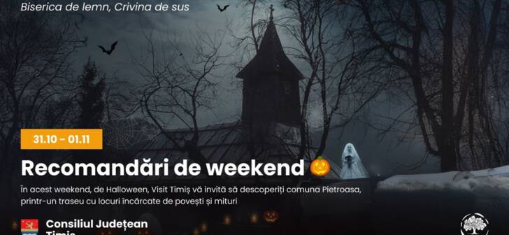 Visit-Timis-728×336.jpeg