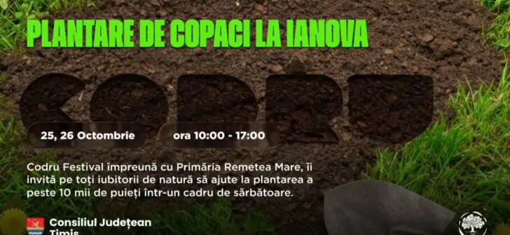 grafica-Ianova-plantare-728×336.jpg